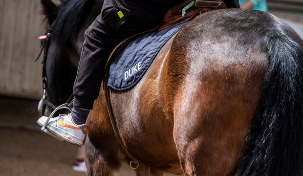 L'&eacute;quitation est l'une des activit&eacute;s propos&eacute;es par le D&eacute;partement dans le cadre du dispositif Vacan'sports