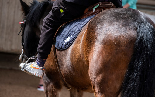 L'équitation est l'une des nombresues discipline sproposées pendant Vacan'sports