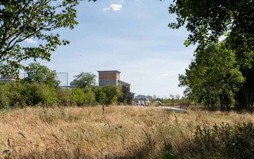 Une large pelouse constitue notamment le Jardin des papeteries à Nanterre