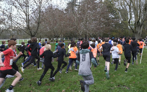 Les collégiens au départ du cross scolaire UNSS des Hauts-de-Seine, le 26 novembre au domaine départemental du haras de Jardy