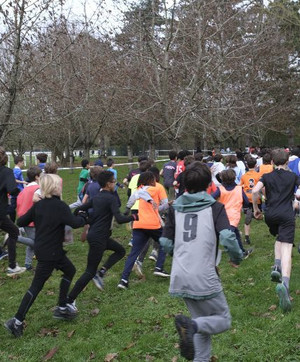 Les collégiens au départ du cross scolaire UNSS des Hauts-de-Seine, le 26 novembre au domaine départemental du haras de Jardy