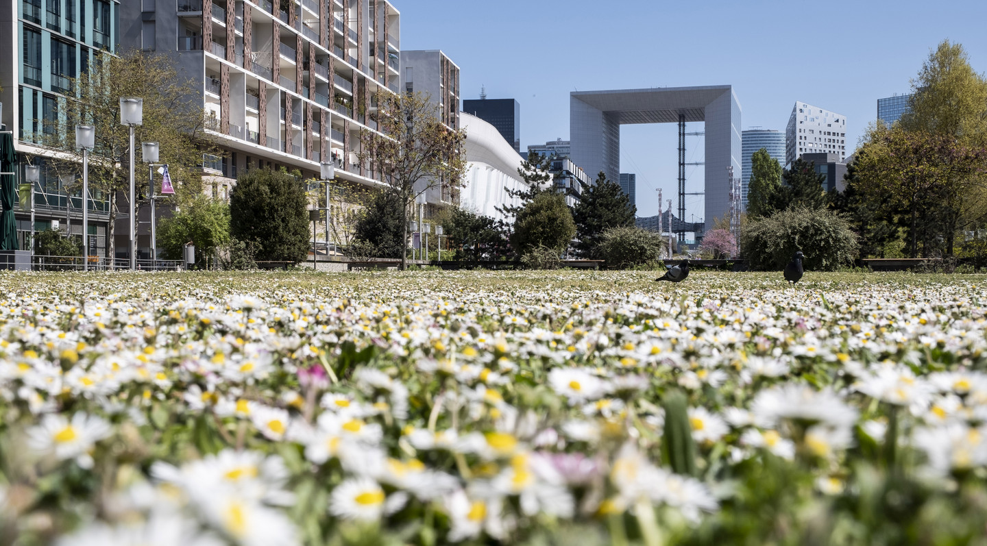 LES TERRASSES ET PARC MALRAUX