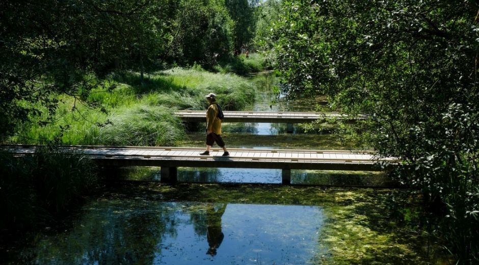 Un promeneur dans un des ilots de fraicheur au parc départemental du Chemin de l'Île